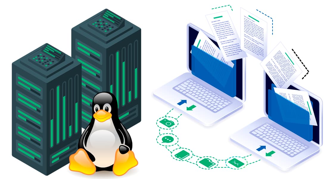 Hosting Linux Prestashop